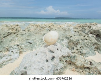 Naked Island Siargao City Province Life Stock Photo Edit Now