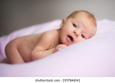 Naked Newborn Baby On Rose Background Stock Photo Shutterstock