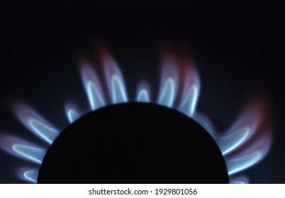 Natural Gas Burning Blue Flames On Stock Photo Shutterstock