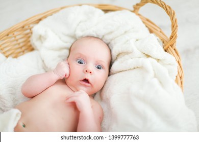 Newborn Naked Baby Lying Wicker Basket Stock Photo