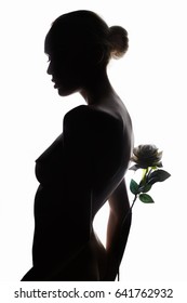 Nude Beautiful Woman Rose Flowerfashion Art Stock Photo