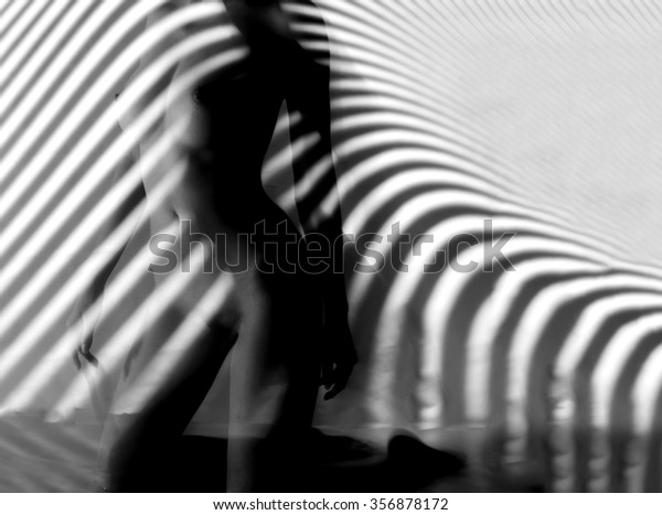 Nude Woman Black White Line Zebra Stock Photo 356878172 Shutterstock