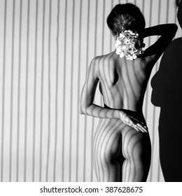 Nude Woman Sexy Artistic Black White Stock Photo Shutterstock