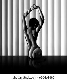 Nude Woman Sexy Artistic Black White Stock Photo Shutterstock