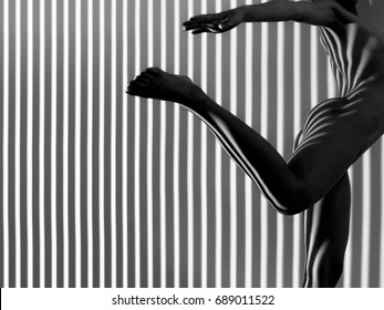 Nude Woman Sexy Artistic Black White Foto Stock 689011522 Shutterstock