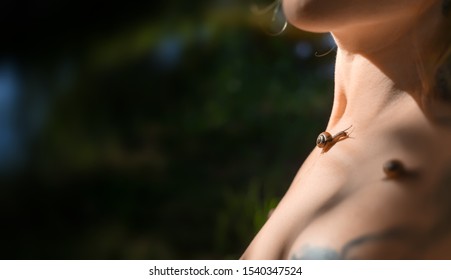 Nude Woman Snails On Her Body Stock Photo Shutterstock