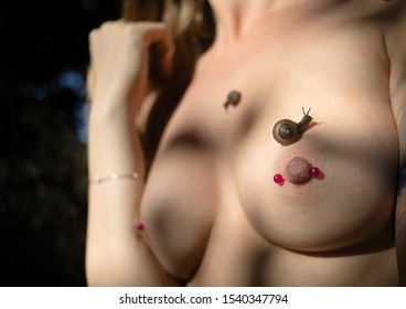 Nude Woman Snails On Her Body Stock Photo Shutterstock