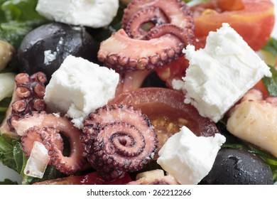 Octopus Salad Rucola Olives Feta Cheese Stock Photo