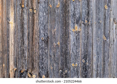 Old Worn Wood Texture Brown Tones Stock Photo Shutterstock