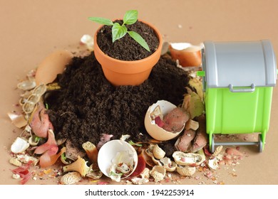 Organic Waste Heap Biodegradable Vegetable Compost Stock Photo