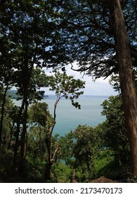 Pemandangan Laut Dari Atas Bukit Stock Photo Shutterstock