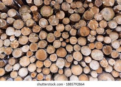 Piled Tree Trunks Background Brown Stock Photo Edit Now 1885792864