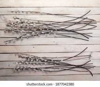 Pussy Willow Branches Dried Flower Bouquet Stock Photo