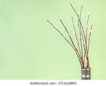 Pussy Willow Sunday Palm Sunday Feast Stock Photo Edit Now 1716251260