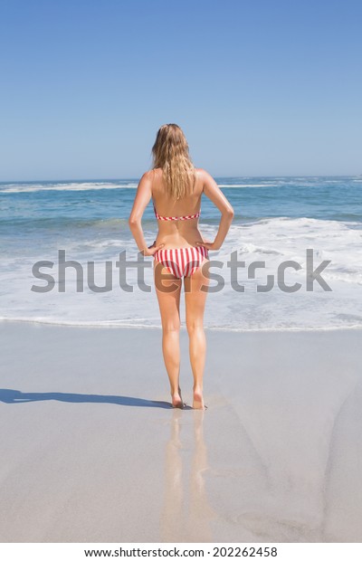 Rear View Fit Woman Bikini On Stock Photo Shutterstock