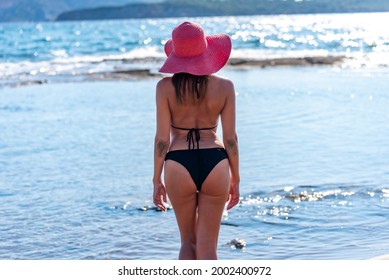 Rear View Sexy Woman Black Bikini Foto Stok Shutterstock