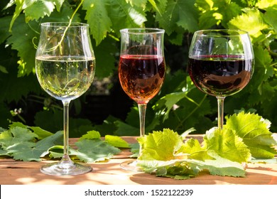 Red White Rose Wine Glasses Stock Photo 1522122239 Shutterstock