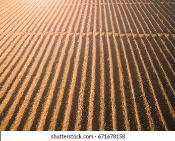 Rows Soil Before Plantingfurrows Row Pattern Stock Photo