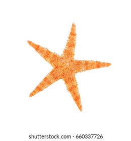 Sea Starfish Isolated On White Background Stock Photo