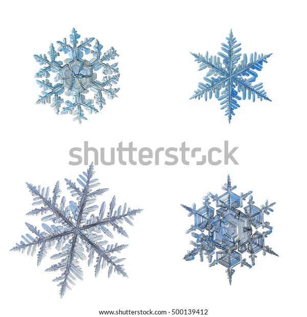 Set Four Snowflakes Isolated On White Stock Photo 500139412 Shutterstock