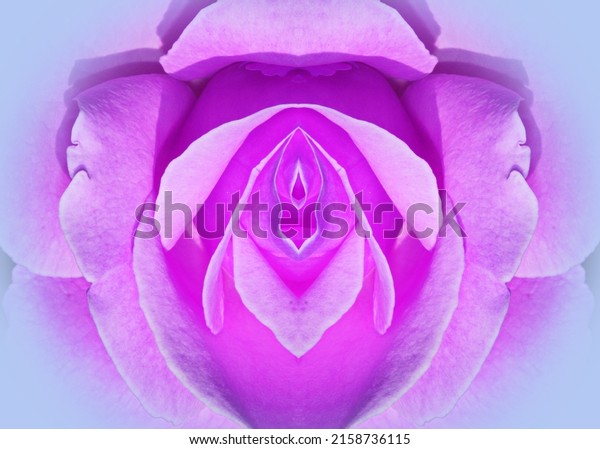 Sex Pussy Vulva Clitoris Vagina Orgasm Shutterstock