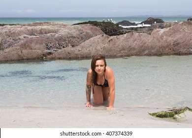 Sexy Bikini Model Crawling Out Sea Stock Photo Shutterstock