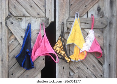 Sexy Expensive Lingerie On Old Broken Stock Photo Shutterstock