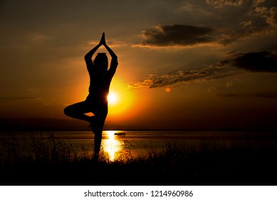 Silhouette Woman Standing On One Leg Stock Photo 1214960986 Shutterstock