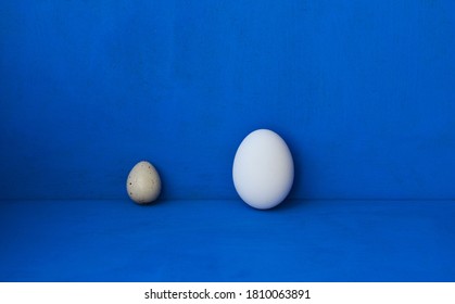 Size Comparison Between Quail Egg Chicken Stock Photo