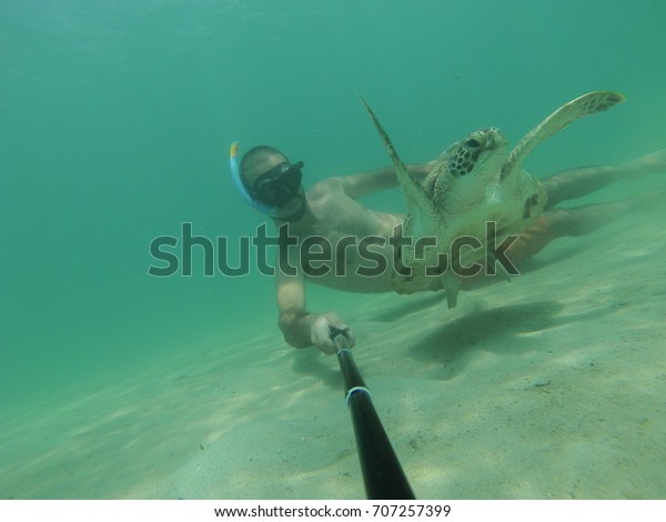 Snorkeler Swimming Sea Turtle Very Closely Stock Photo