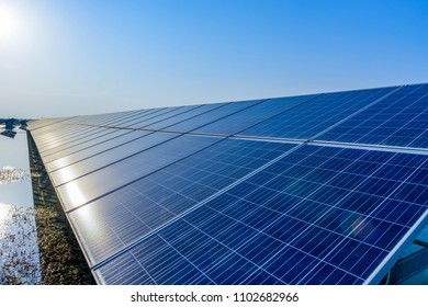 Solar Panels Under Blue Sky Stock Photo Shutterstock