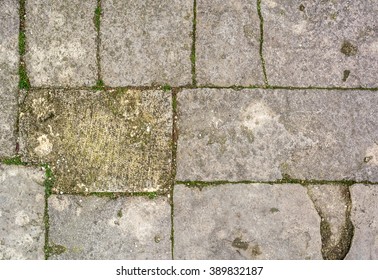 Cobblestone Grass Texture Stone Path Road Shutterstock