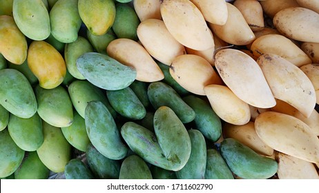 Different Types Of Mangoes Images Stock Photos Vectors