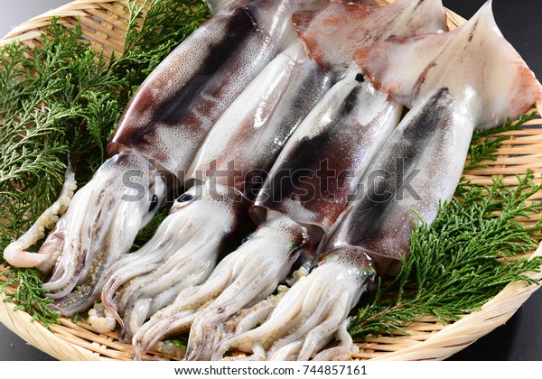 Todarodes Pacificus Japanese Common Squid Stock Photo Edit Now 744857161