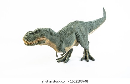 Realistic Illustration Dinosaur Acrocanthosaurus Species Stock