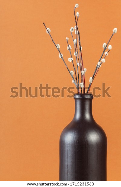 Vertical Pussy Willow Sunday Palm Sunday Stock Photo