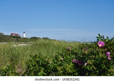 96 Nobska Beach Images Stock Photos Vectors Shutterstock