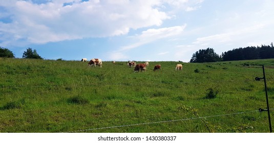 Historic Werra Bridge Vacha Thuringia Stock Photo 1935073346 Shutterstock