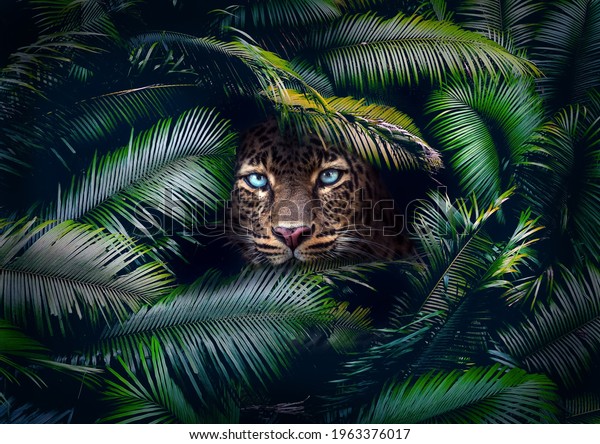 Wild Cat Lurking Leaves Jungle Showing Stock Photo