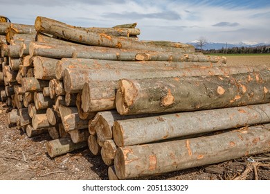 831 Stacks Dolomite Images Stock Photos Vectors Shutterstock