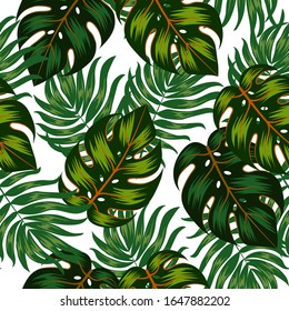 Tropical Palm Leaves Green Jungle Leaf Stock Vector Royalty Free