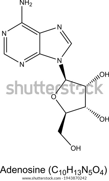 Adenosine Molecule Nucleoside Structural Chemical Formula Stock Vector