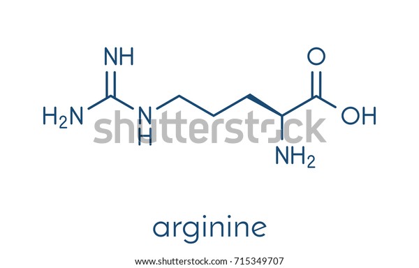 Arginine Larginine Arg R Amino Acid Stock Vector Royalty Free