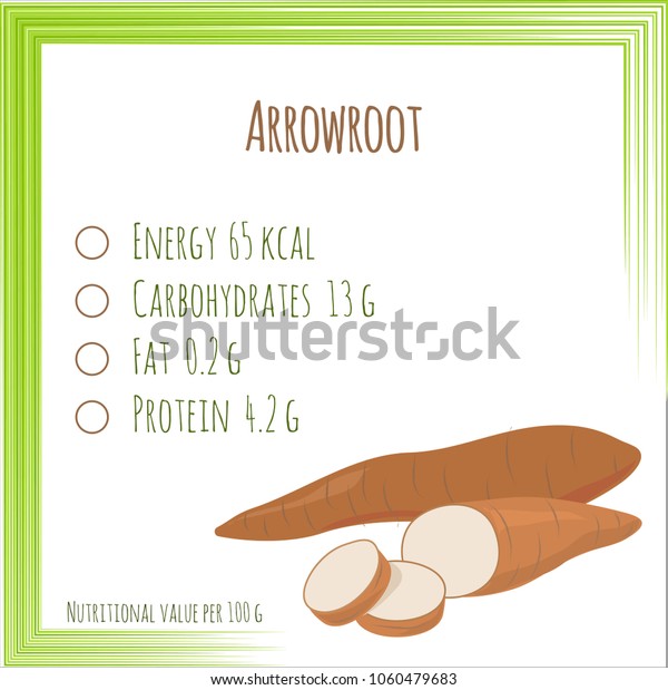 Arrowroot Nutrition Facts Flat Design No Stock Vector Royalty Free