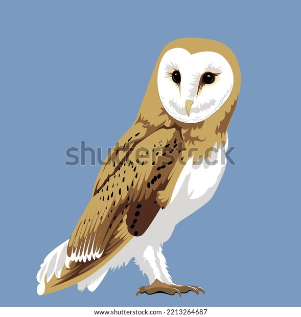 Barn Owl Vector Illustration Bird Wildlife Stock Vector Royalty Free