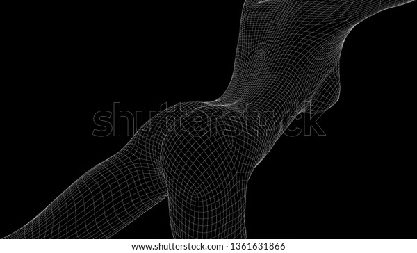 Beautiful Naked Woman Poses Female Body D Wireframe Vector