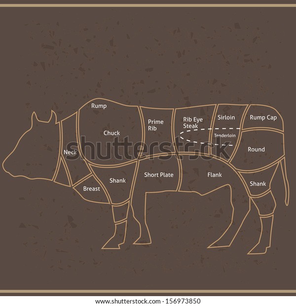 Beef Cut Cuts Beef Vector Stock Vector Royalty Free