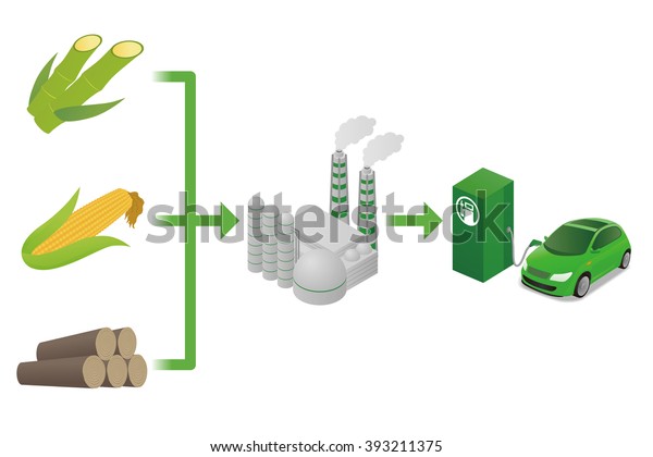 Biofuel Biomass Ethanol Made Form Sugar Stock Vector Royalty Free