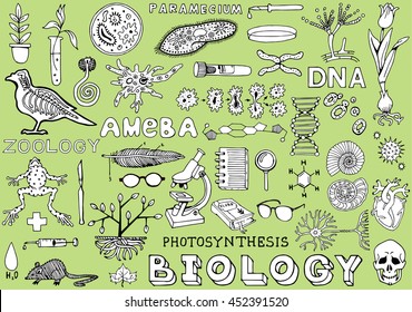 Vektor Stok Biology Science Doodle Hand Drawn Elements Tanpa Royalti