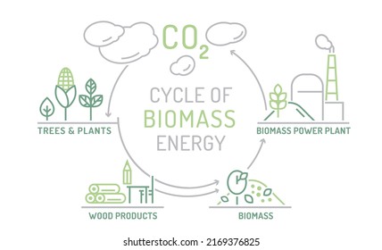 Biomass Energy Landscape Poster Useful Infographics Stock Vector